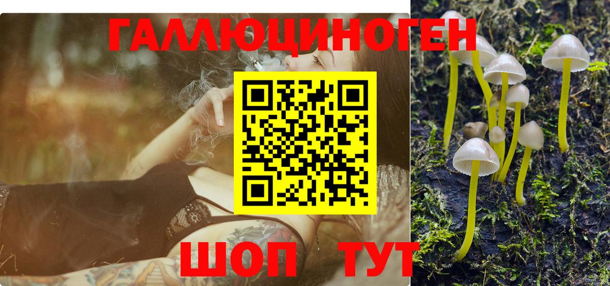 Галлюциногенные грибы Cubensis Краснокамск