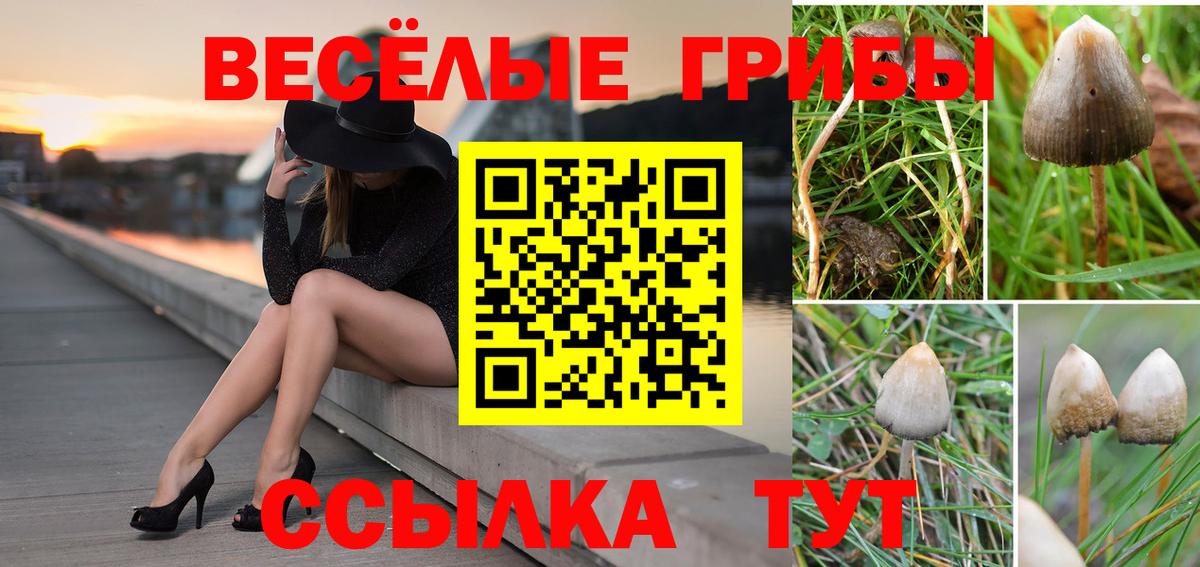 Галлюциногенные грибы Magic Shrooms  Галлюциногенные грибы ЛСД  Вход с VPN  Краснокамск 